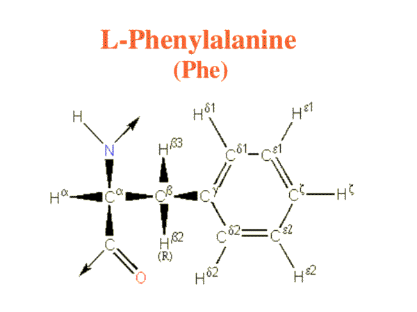 Phenylalanine image