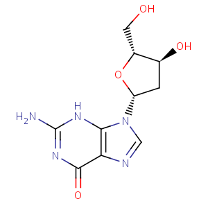 2_deoxyguanosine
