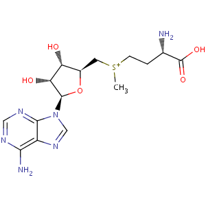 S_adenosyl_L_methionine