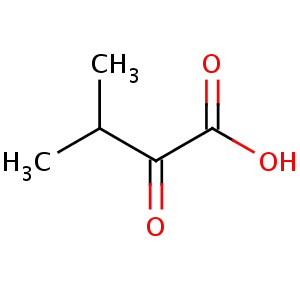 methyl_oxobutanoic_acid