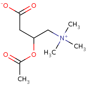acetylcarnitine