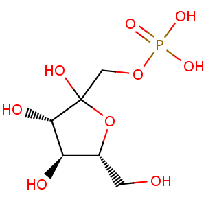 D_Fructose_1_phosphate