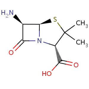 6-aminopenicillanic