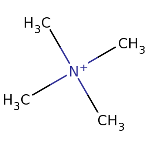 tetramethylammonium
