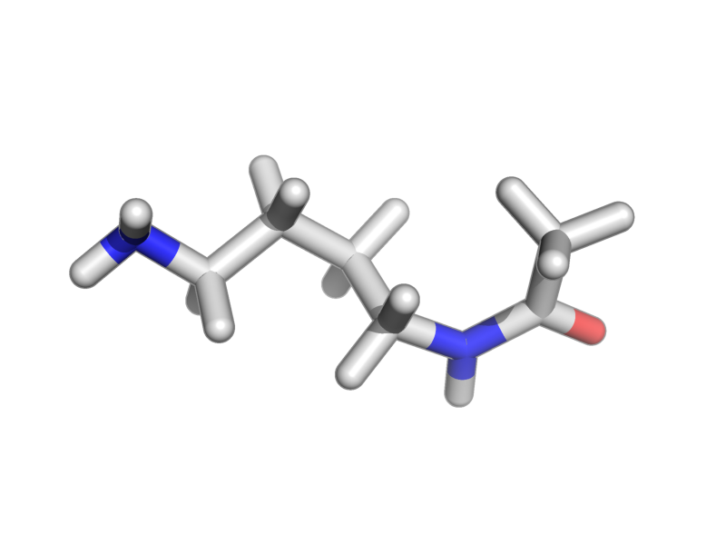 N-(4-aminobutyl)acetamide