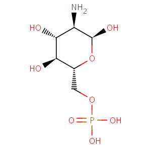 D_glucosamine_6_phosphate